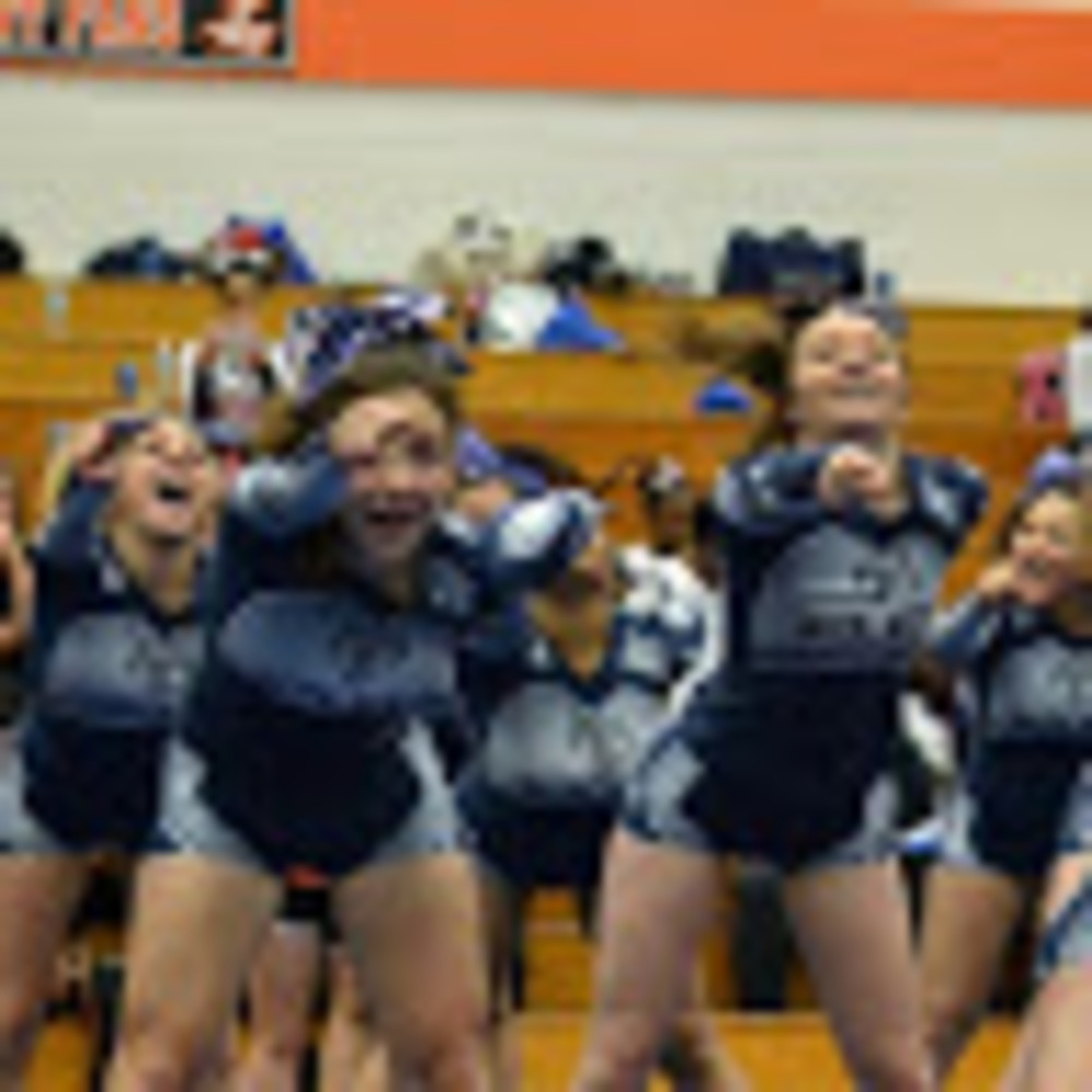 Meet your Posher, Bridget